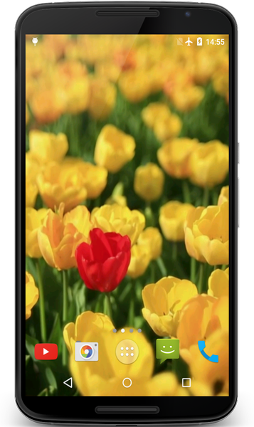 Tulips Video Live Wallpaper - عکس برنامه موبایلی اندروید