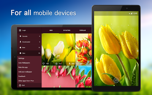Tulip Wallpapers ۴K - عکس برنامه موبایلی اندروید