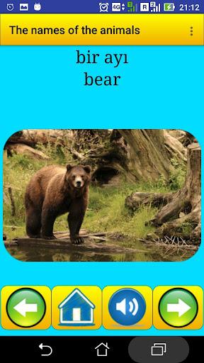 Animal names in Turkish - Image screenshot of android app