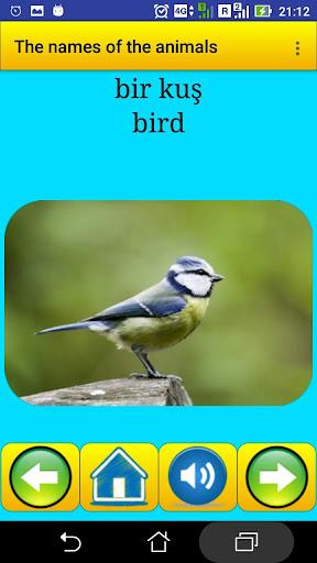 Animal names in Turkish - Image screenshot of android app