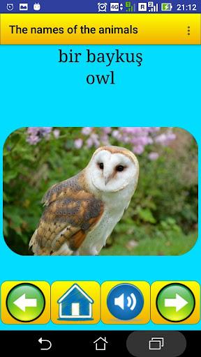 Animal names in Turkish - Image screenshot of android app