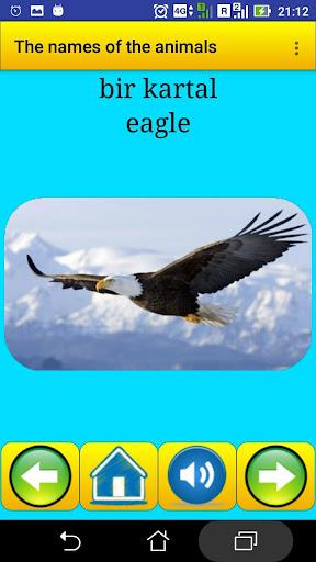 Animal names in Turkish - Image screenshot of android app
