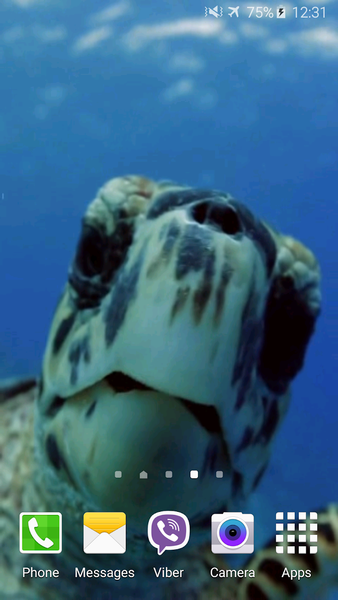 Turtle 4K Video Live Wallpaper - Image screenshot of android app