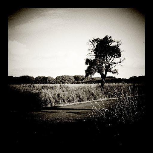 Vignette • Photo effects - Image screenshot of android app