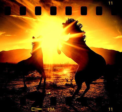 Vignette • Photo effects - Image screenshot of android app