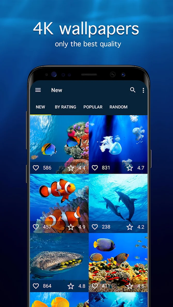 Underwater Wallpapers 4K - عکس برنامه موبایلی اندروید