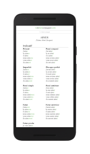 French verb conjugator - Image screenshot of android app