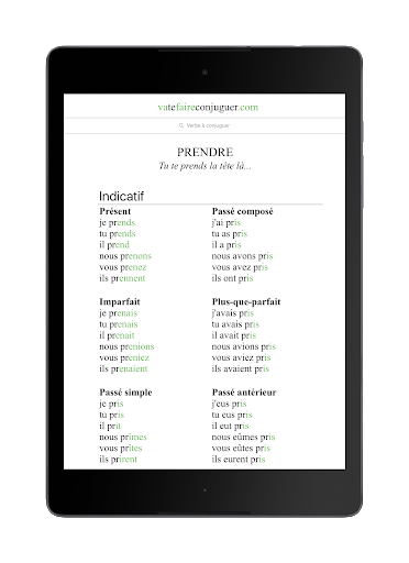 French verb conjugator - Image screenshot of android app