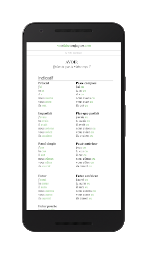 French verb conjugator - Image screenshot of android app