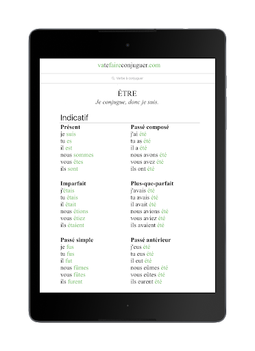 French verb conjugator - Image screenshot of android app