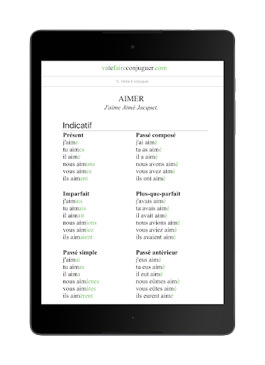 French verb conjugator - Image screenshot of android app