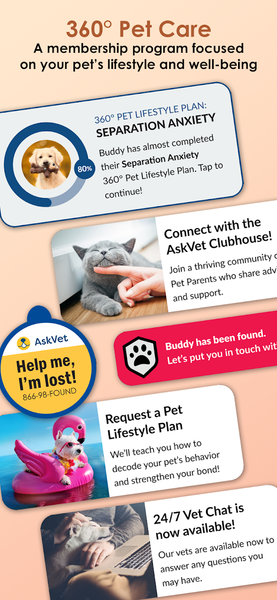 AskVet: Online Pet Care - عکس برنامه موبایلی اندروید