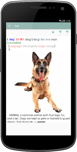 LDict - English Dictionary - عکس برنامه موبایلی اندروید