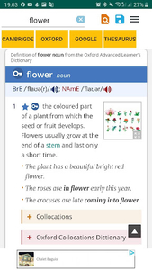 All in one Dictionary - Image screenshot of android app