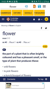 All in one Dictionary - Image screenshot of android app