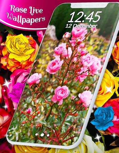 Red Rose Live Wallpaper - Image screenshot of android app