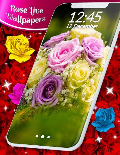Red Rose Live Wallpaper - Image screenshot of android app