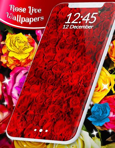 Red Rose Live Wallpaper - Image screenshot of android app