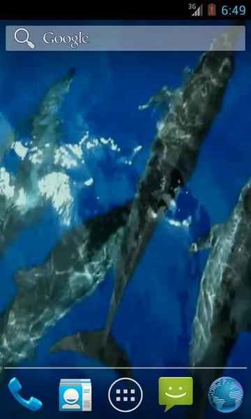 Wild Dolphins Video Wallpaper - Image screenshot of android app