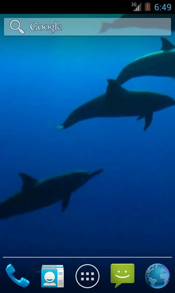 Wild Dolphins Video Wallpaper - عکس برنامه موبایلی اندروید