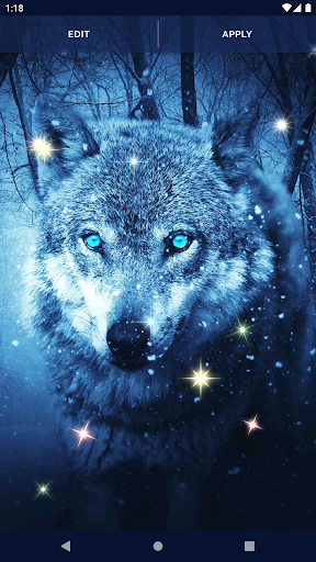 Live wallpaper Black and white wolf DOWNLOAD FREE 1134328086