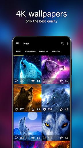 Wolf Wallpapers 4K - Image screenshot of android app