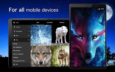 Wolf Wallpapers 4K - Image screenshot of android app