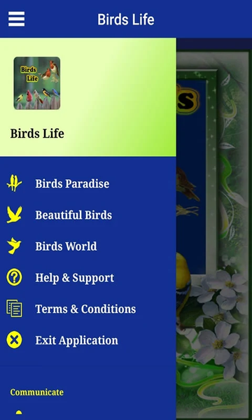 Birds Life - Image screenshot of android app