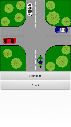 Driver Test: Crossroads - عکس برنامه موبایلی اندروید