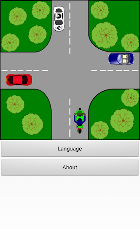 Driver Test: Crossroads - Image screenshot of android app