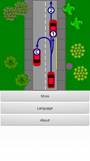 Driver Test: Parking - عکس برنامه موبایلی اندروید