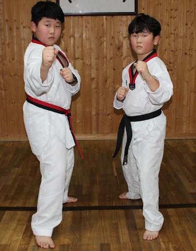Taekwondo Korea Audio - عکس برنامه موبایلی اندروید