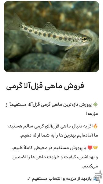 ‏‏ماهی گرمی قزل‌آلا (عباسی) - عکس برنامه موبایلی اندروید