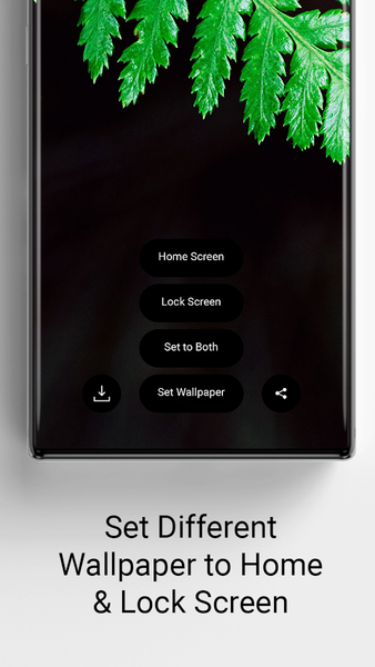 Aesthetic Vault - عکس برنامه موبایلی اندروید