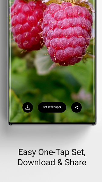 Aesthetic Vault - عکس برنامه موبایلی اندروید