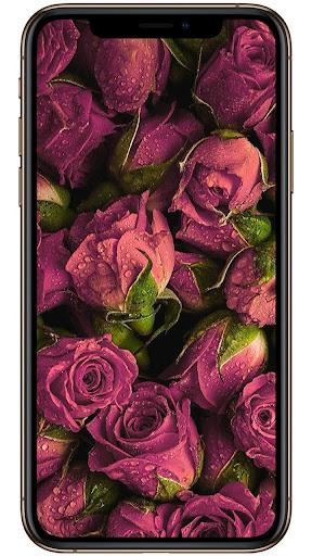 Wallpapers for Galaxy S۲۲ - عکس برنامه موبایلی اندروید