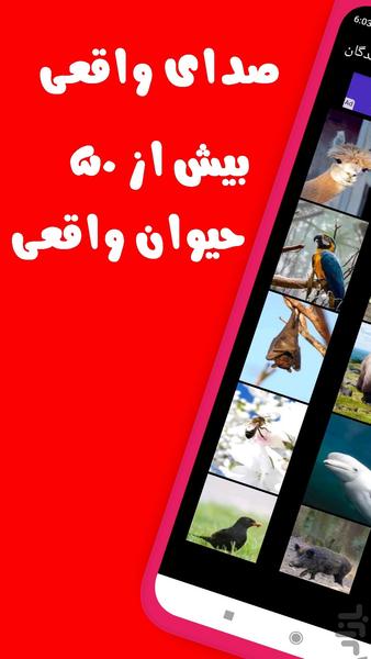 صدای حیوانات و پرندگان - عکس برنامه موبایلی اندروید