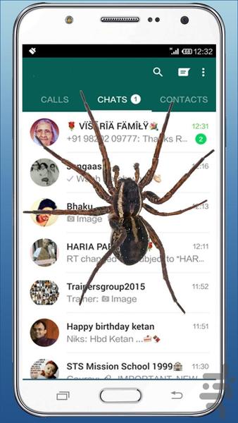 عنکبوت روی گوشی - عکس برنامه موبایلی اندروید