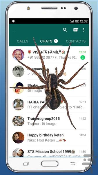 عنکبوت روی گوشی - Image screenshot of android app