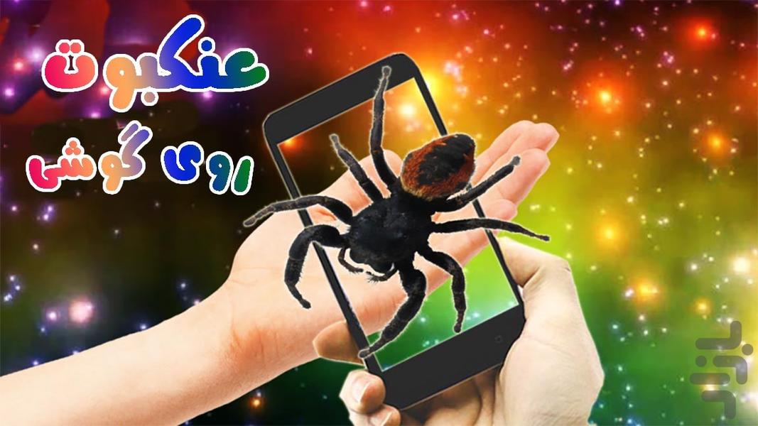 عنکبوت روی گوشی - عکس برنامه موبایلی اندروید
