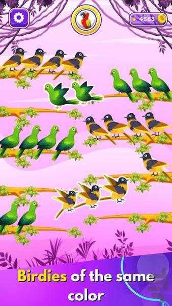 Bird Sort ۴D Puzzle - عکس بازی موبایلی اندروید
