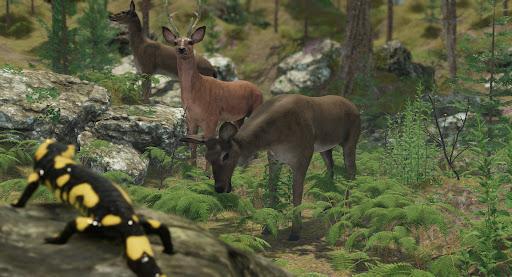 VR ZOO Safari Park Animal Game - عکس بازی موبایلی اندروید