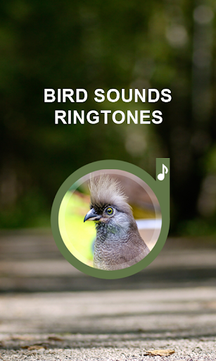 Bird Sounds Ringtones - عکس برنامه موبایلی اندروید