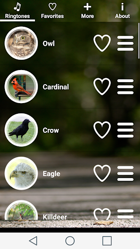 Bird Sounds Ringtones - عکس برنامه موبایلی اندروید