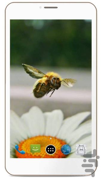 پس زمینه زنده زنبور عسل HD Bee - عکس برنامه موبایلی اندروید