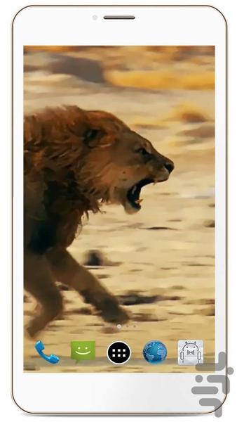 HD LION Live Wallpaper - Image screenshot of android app
