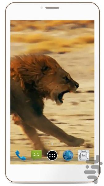 HD LION Live Wallpaper - Image screenshot of android app