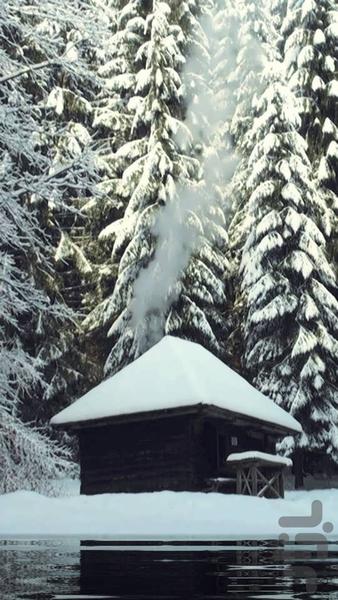 HD Winter Live Wallpaper - Image screenshot of android app