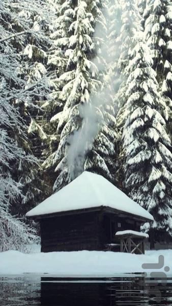 HD Winter Live Wallpaper - Image screenshot of android app